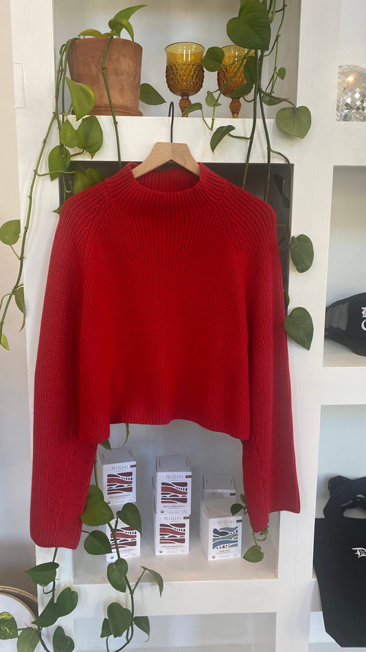 Hog Wild Red Sweater